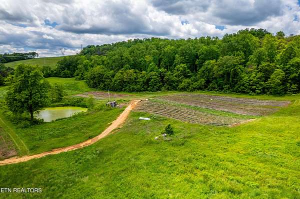 17 Acres of Agricultural Land for Sale in Rutledge, Tennessee