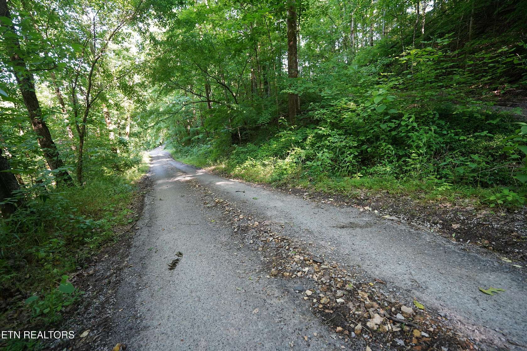 0.08 Acres of Land for Sale in Smithville, Tennessee