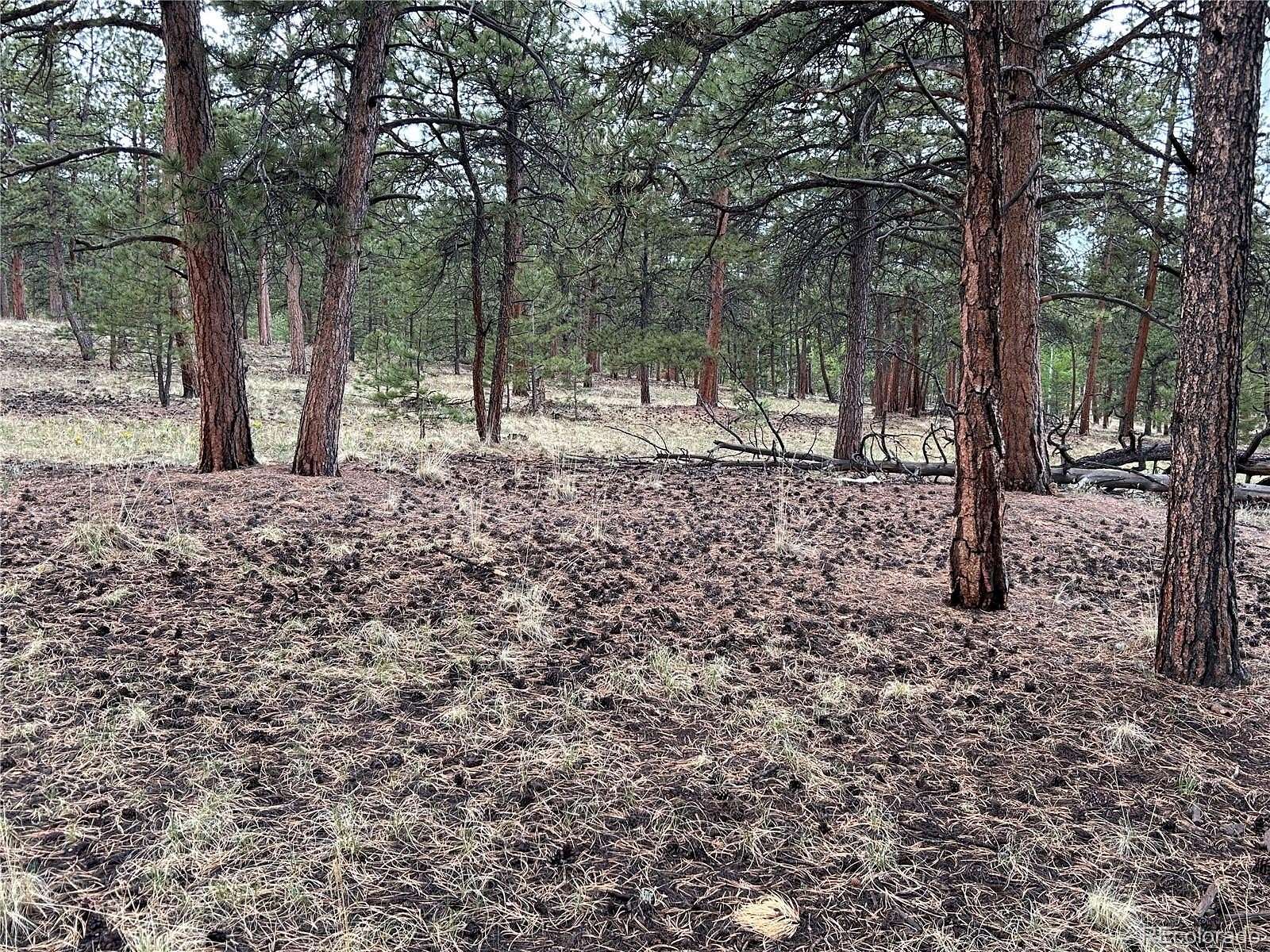 2 Acres of Residential Land for Sale in Hartsel, Colorado