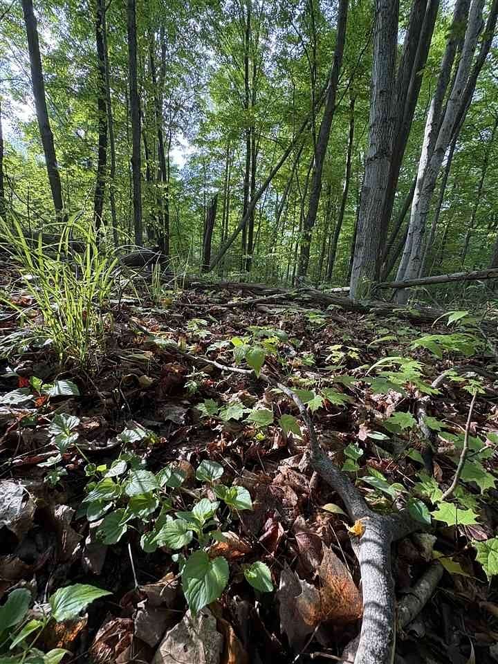 1 Acre of Residential Land for Sale in East Jordan, Michigan