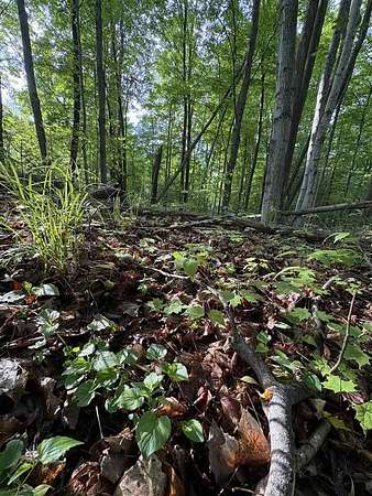 1 Acre of Residential Land for Sale in East Jordan, Michigan