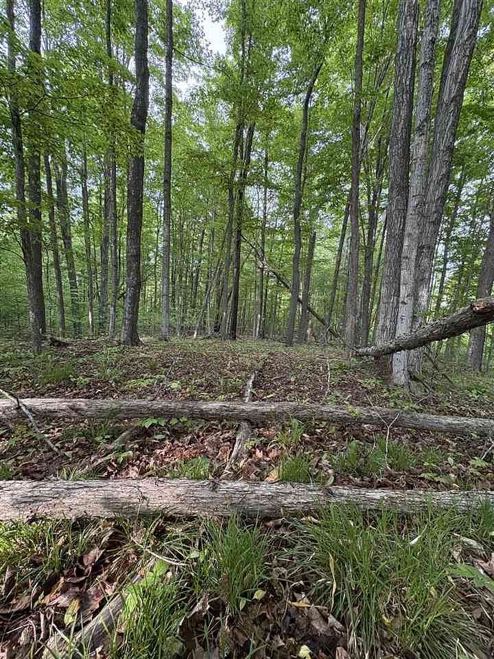 1 Acre of Residential Land for Sale in East Jordan, Michigan