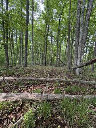 1 Acre of Residential Land for Sale in East Jordan, Michigan