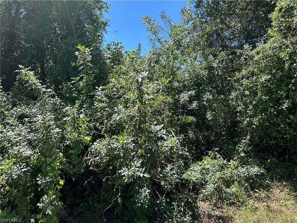 0.24 Acres of Land for Sale in Lehigh Acres, Florida