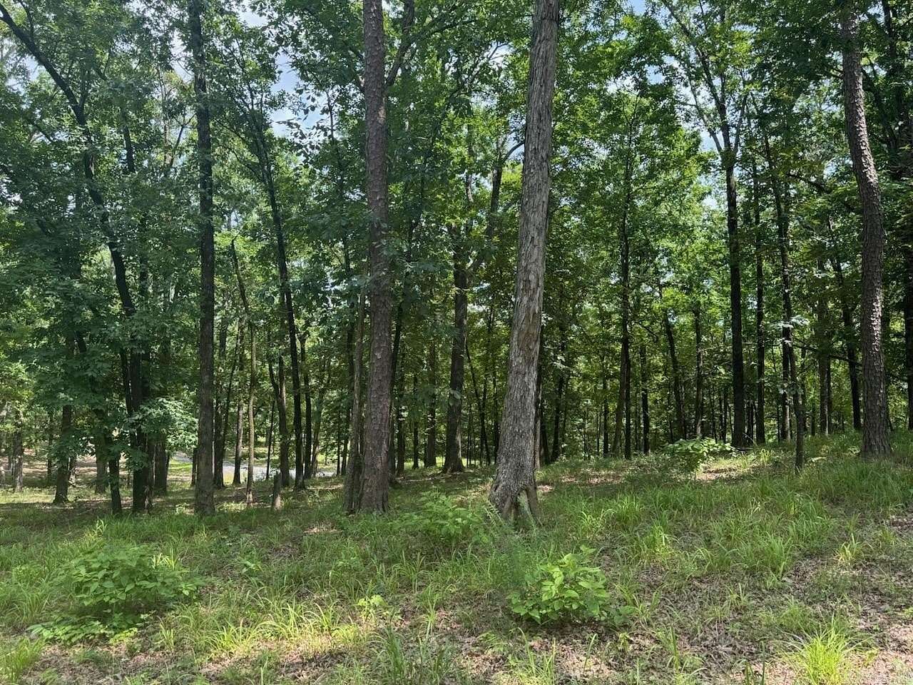 3.13 Acres of Residential Land for Sale in Mena, Arkansas