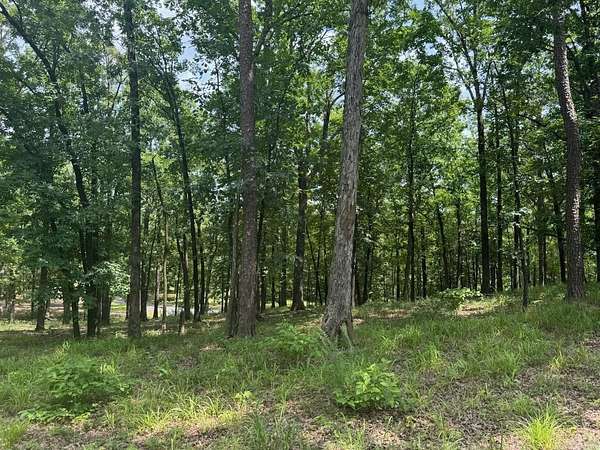 3.13 Acres of Residential Land for Sale in Mena, Arkansas
