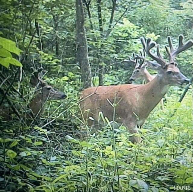16 Acres of Recreational Land with Home for Sale in Kirksville, Missouri