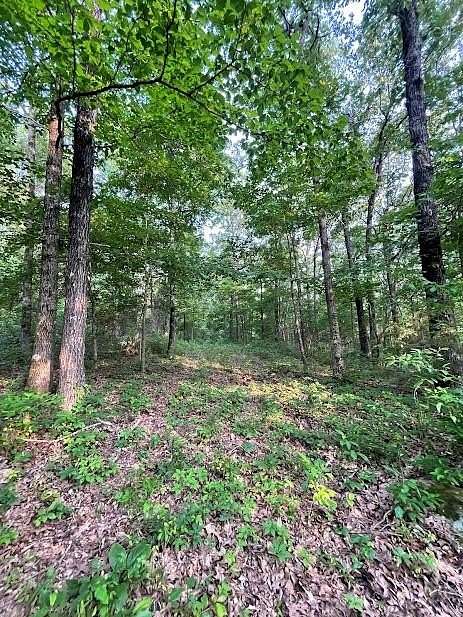 10 Acres of Recreational Land for Sale in West Fork, Arkansas