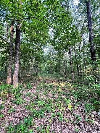 10 Acres of Recreational Land for Sale in West Fork, Arkansas