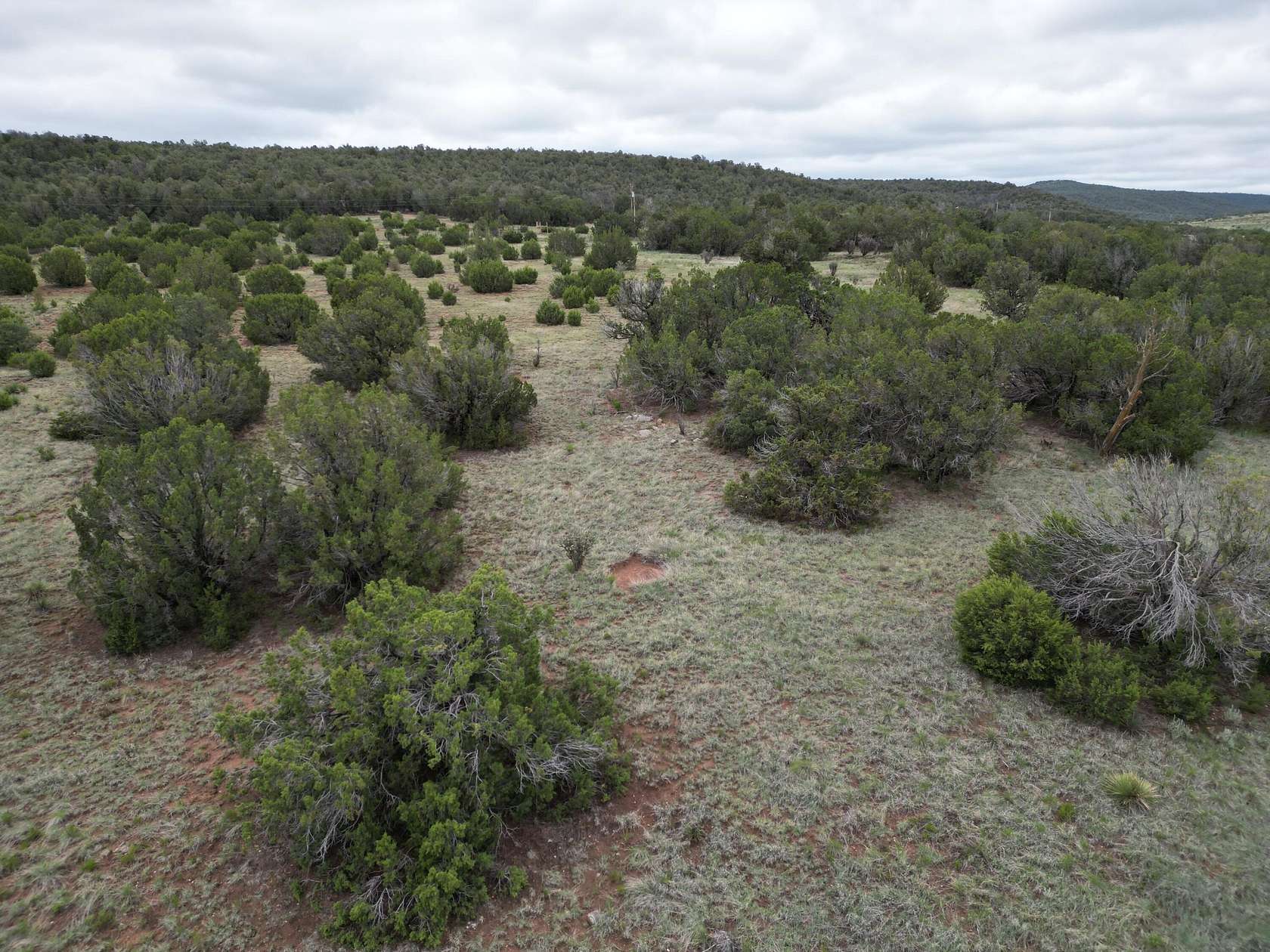 10 Acres of Residential Land for Sale in Edgewood, New Mexico
