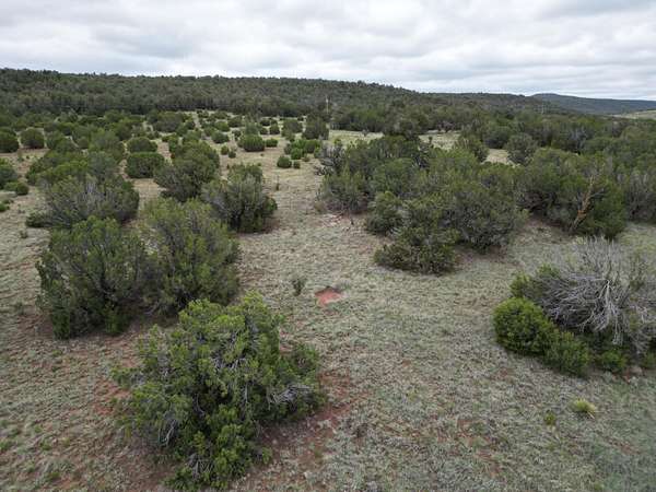 10 Acres of Residential Land for Sale in Edgewood, New Mexico