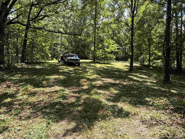 40.3 Acres of Recreational Land for Sale in Munford, Tennessee