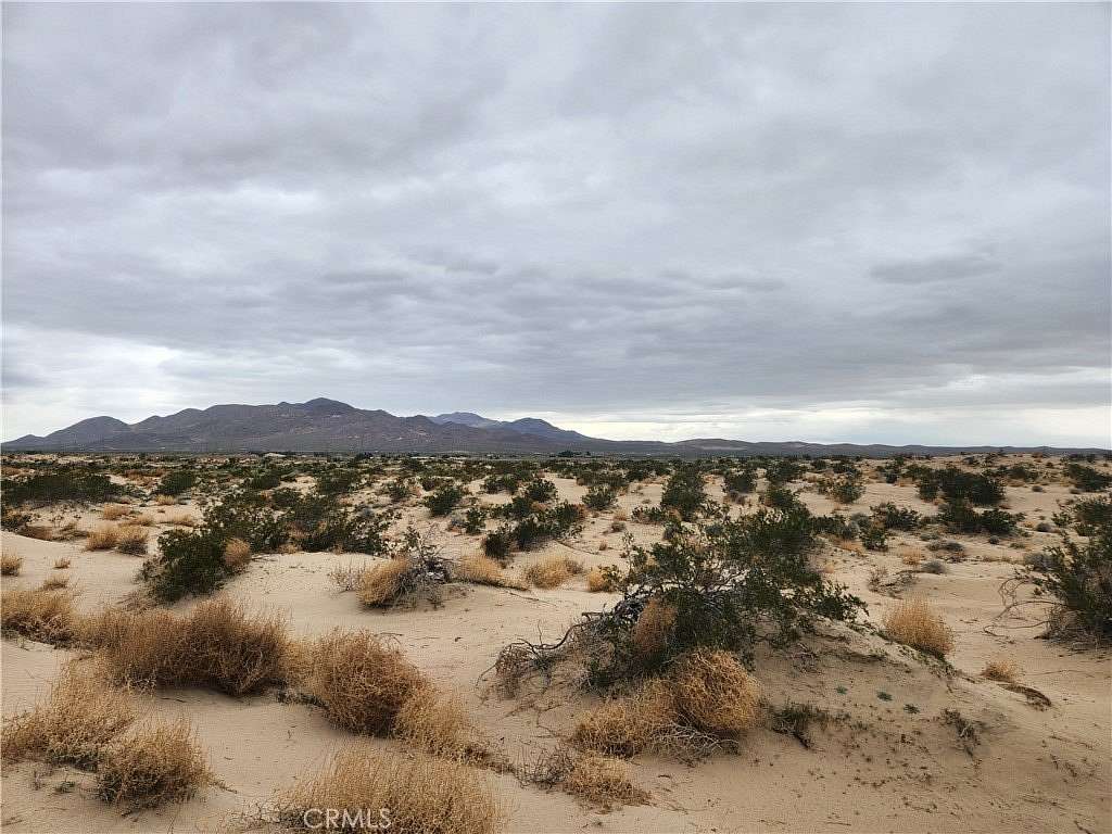 40 Acres of Land for Sale in Newberry Springs, California