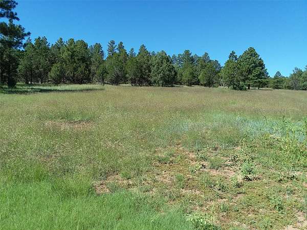40 Acres of Land for Sale in Pecos, New Mexico