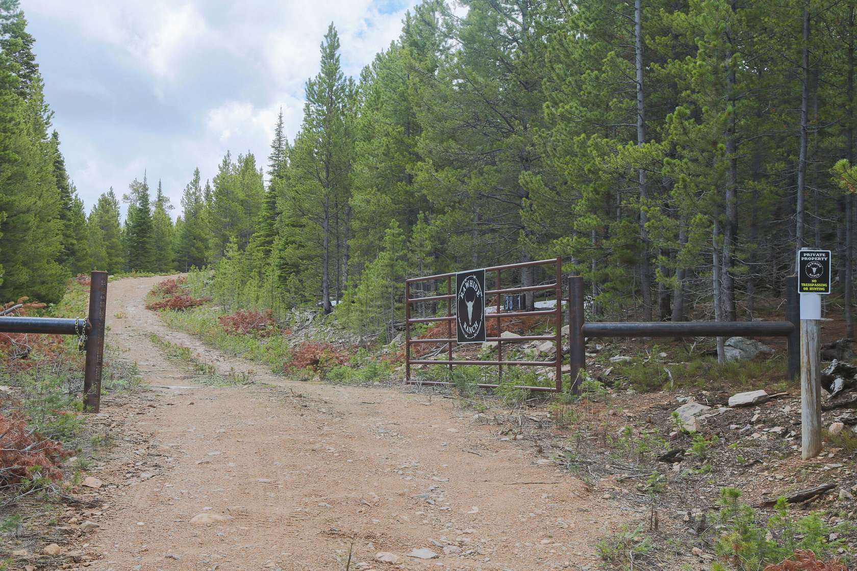 240 Acres of Recreational Land for Sale in Red Feather Lakes, Colorado