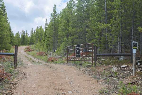 240 Acres of Recreational Land for Sale in Red Feather Lakes, Colorado