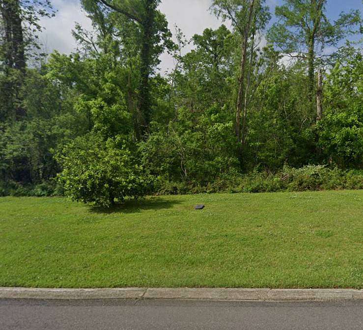 0.25 Acres of Residential Land for Sale in Saint Amant, Louisiana