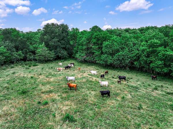 66.7 Acres of Land for Sale in Commerce, Texas