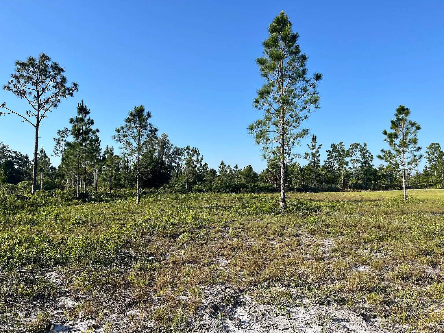 0.32 Acres of Residential Land for Sale in Indian Lake Estates, Florida