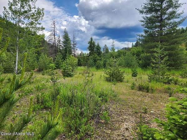 15.6 Acres of Land for Sale in Kellogg, Idaho