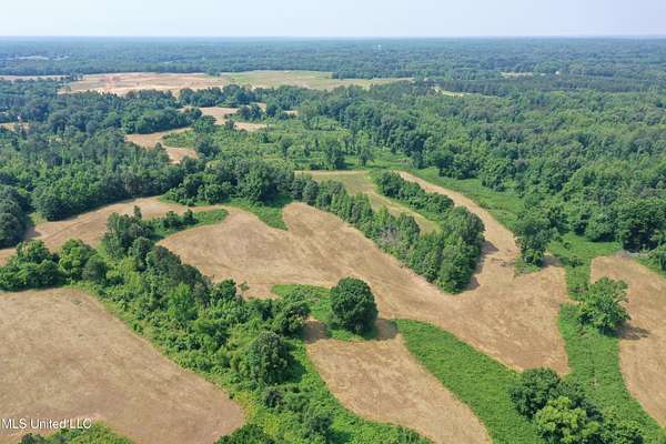 10 Acres of Land for Sale in Lake Cormorant, Mississippi