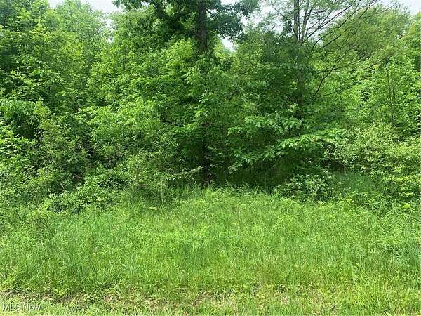 15.3 Acres of Land for Sale in Plymouth, Ohio
