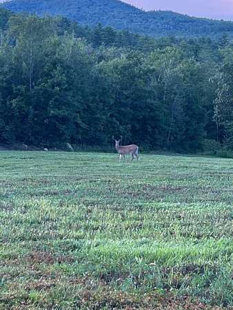 101 Acres of Recreational & Residential Land for Sale in Webster, New Hampshire