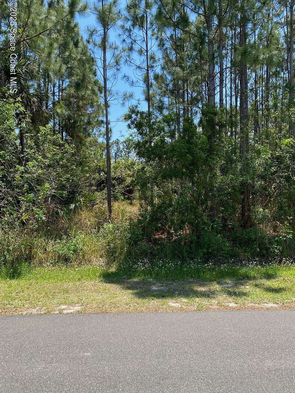 0.23 Acres of Land for Sale in Palm Bay, Florida