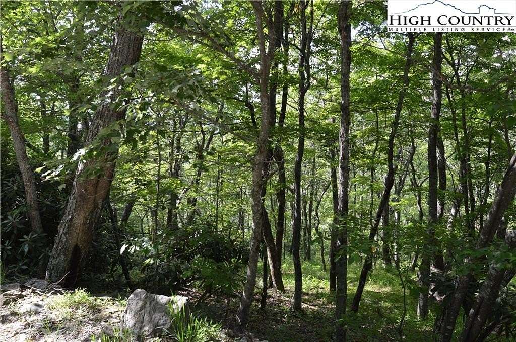 1.12 Acres of Residential Land for Sale in Sparta, North Carolina