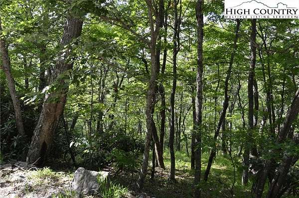 1.12 Acres of Residential Land for Sale in Sparta, North Carolina