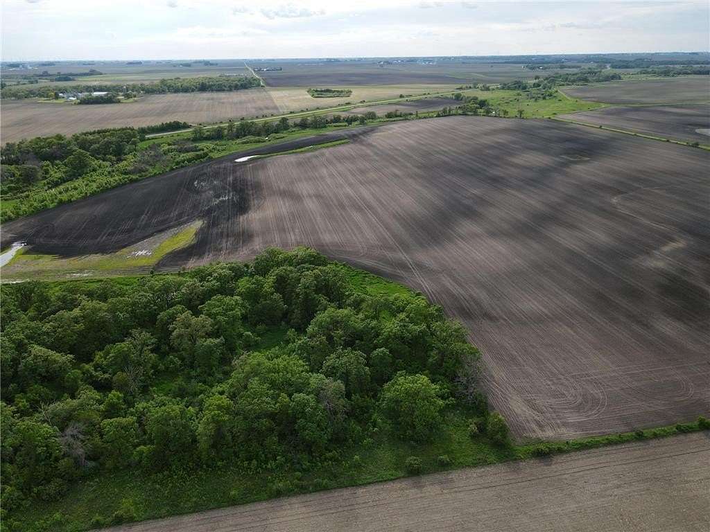 153 Acres of Land for Sale in Le Roy Township, Minnesota