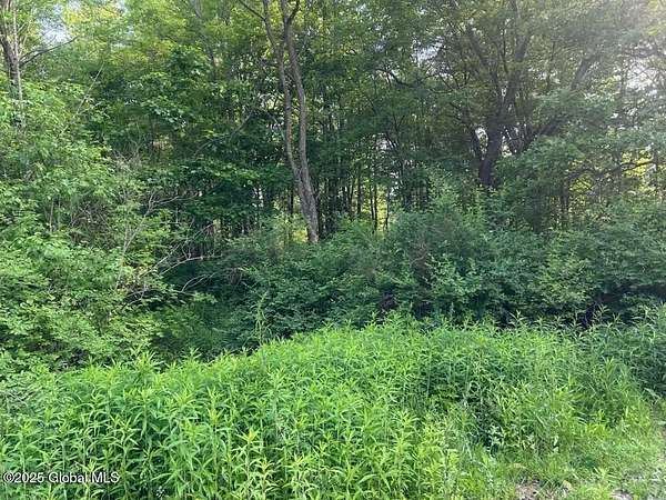 0.34 Acres of Residential Land for Sale in Malta, New York