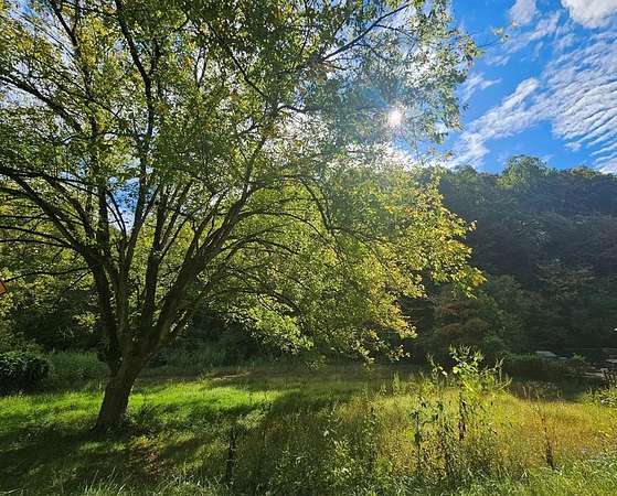 48 Acres of Recreational Land for Sale in Louisa, Kentucky