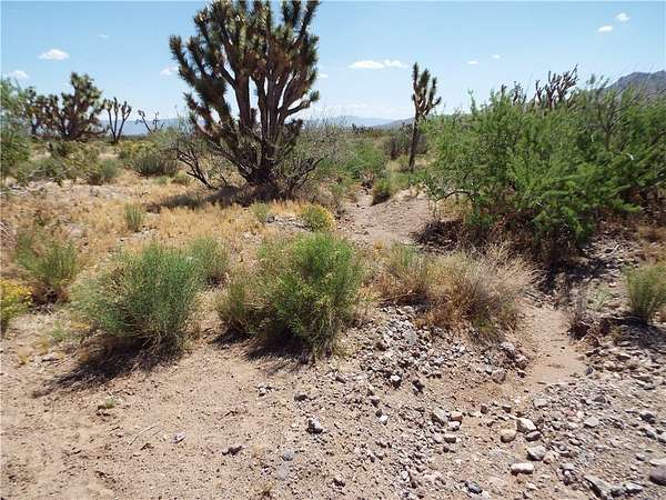 1.66 Acres of Residential Land for Sale in Dolan Springs, Arizona