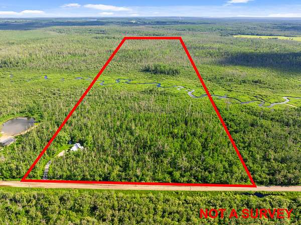 40 Acres of Recreational Land for Sale in Levering, Michigan