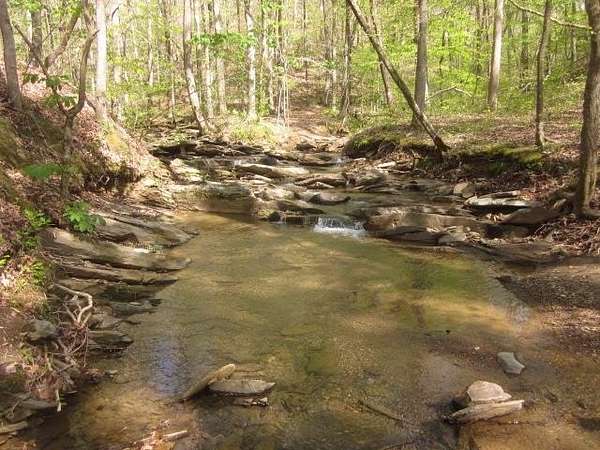 46.9 Acres of Recreational Land for Sale in Jasper, Georgia
