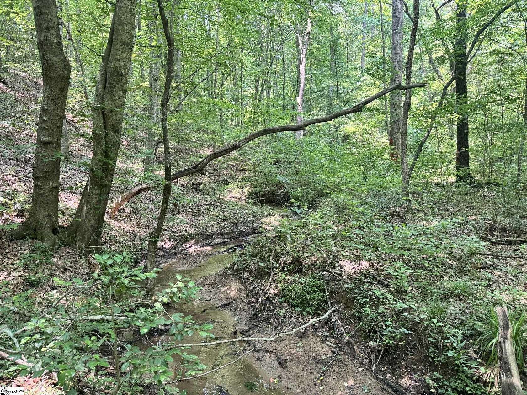 56.1 Acres of Recreational Land for Sale in Westminster, South Carolina