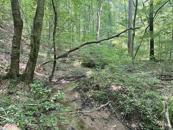 56.1 Acres of Recreational Land for Sale in Westminster, South Carolina