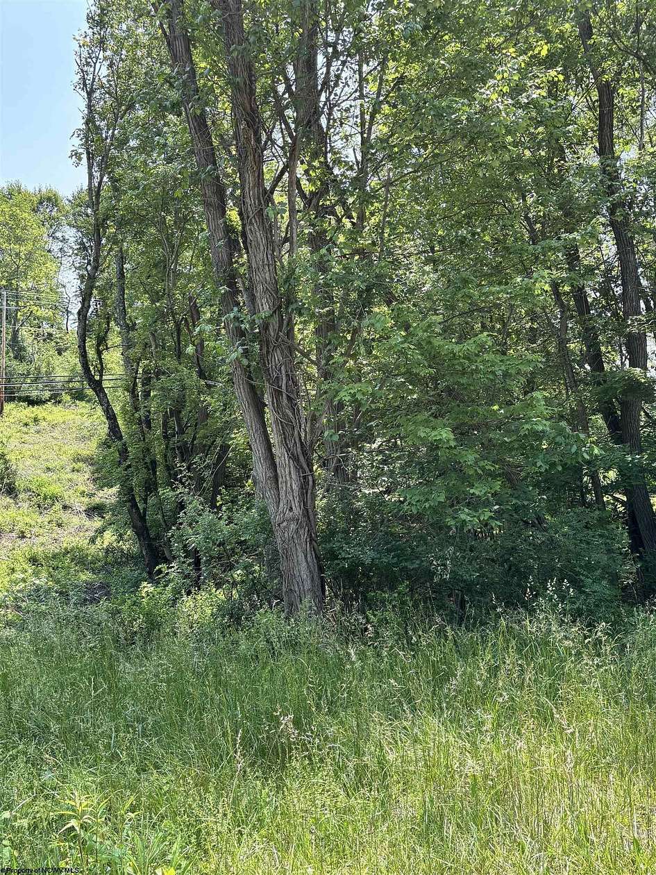 0.47 Acres of Residential Land for Sale in Philippi, West Virginia