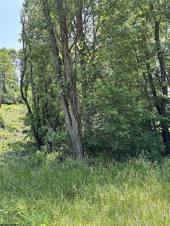 0.47 Acres of Residential Land for Sale in Philippi, West Virginia