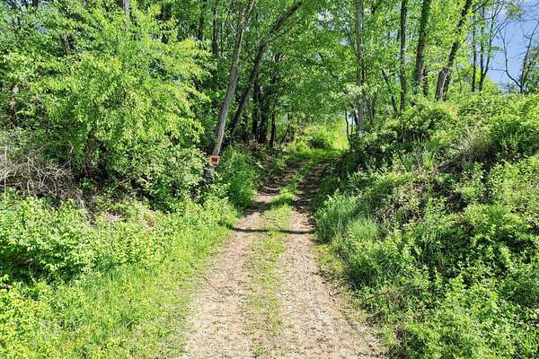 90 Acres of Recreational Land for Sale in St. Louisville, Ohio