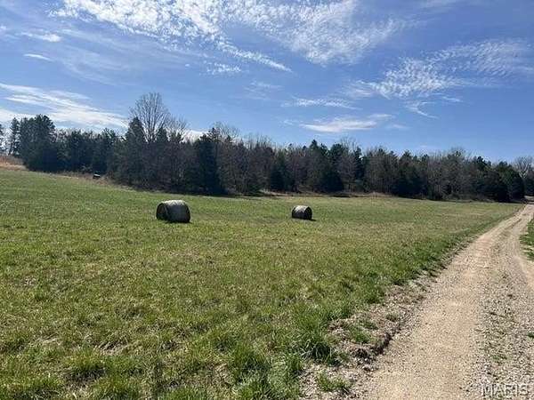 40 Acres of Land with Home for Sale in Birch Tree, Missouri