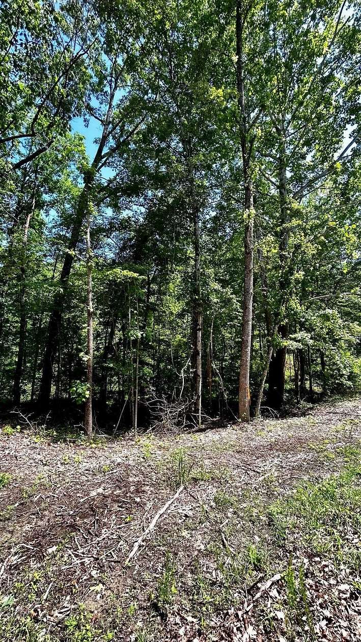 0.28 Acres of Residential Land for Sale in Saulsbury, Tennessee