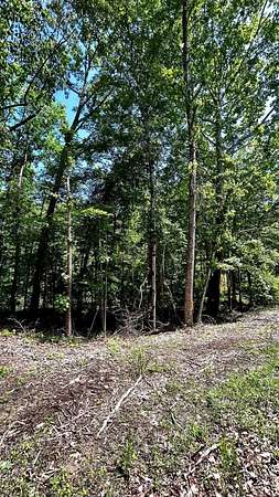 0.28 Acres of Residential Land for Sale in Saulsbury, Tennessee