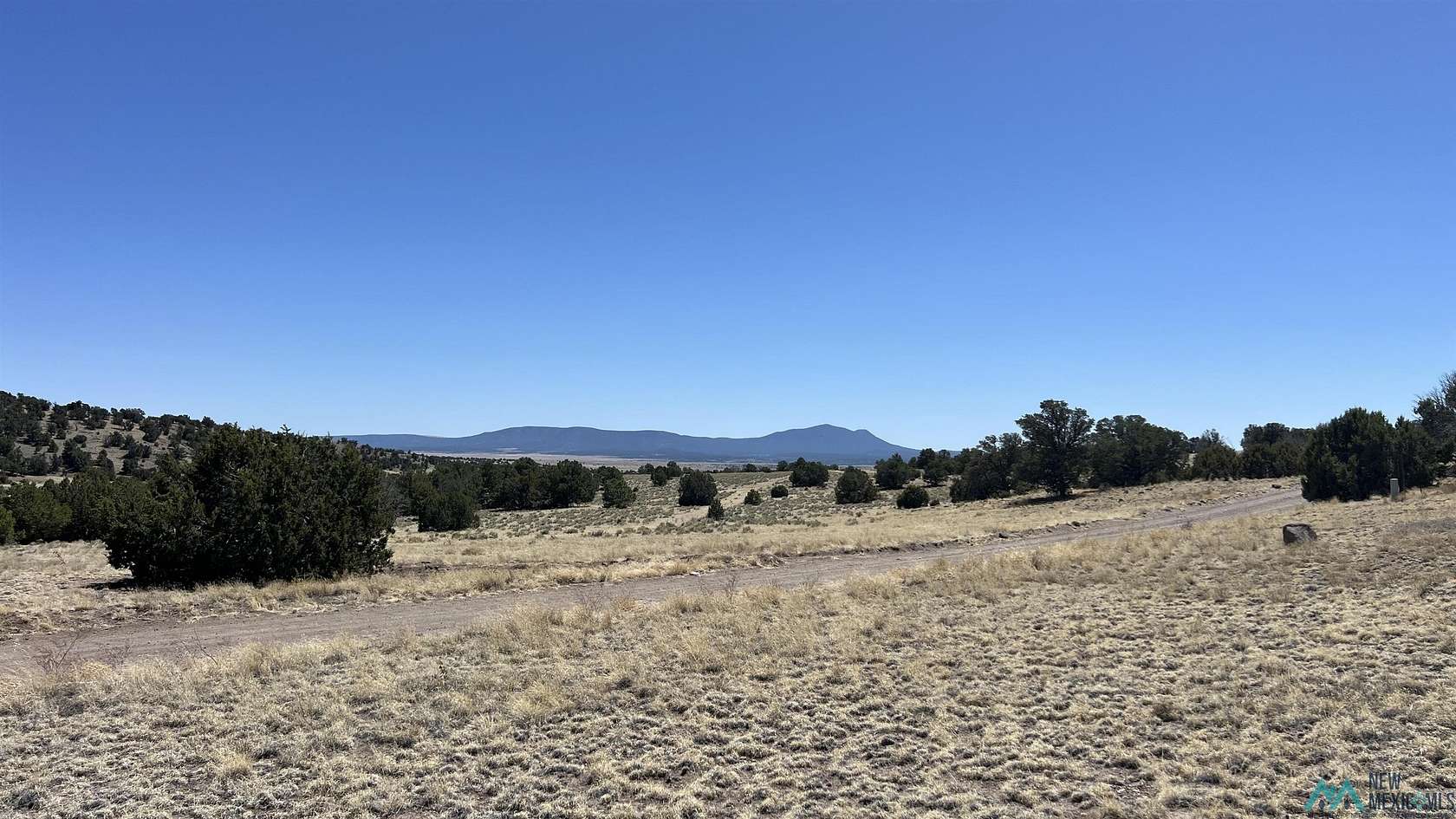 14.9 Acres of Recreational & Residential Land for Sale in Quemado, New Mexico
