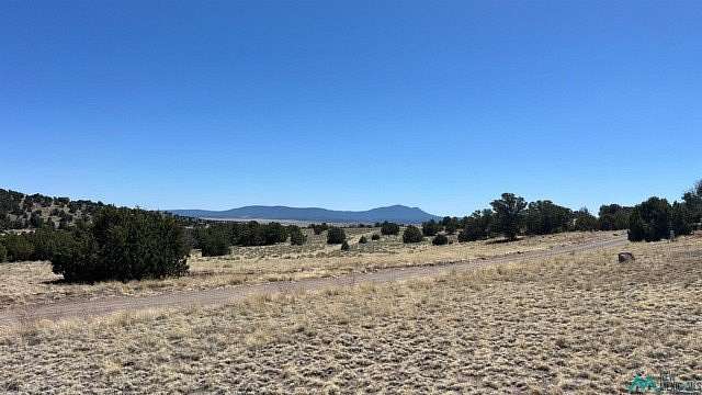 14.9 Acres of Recreational & Residential Land for Sale in Quemado, New Mexico