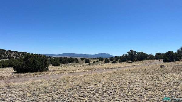 14.9 Acres of Recreational & Residential Land for Sale in Quemado, New Mexico