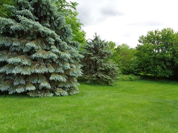 0.78 Acres of Residential Land for Sale in Galena, Illinois