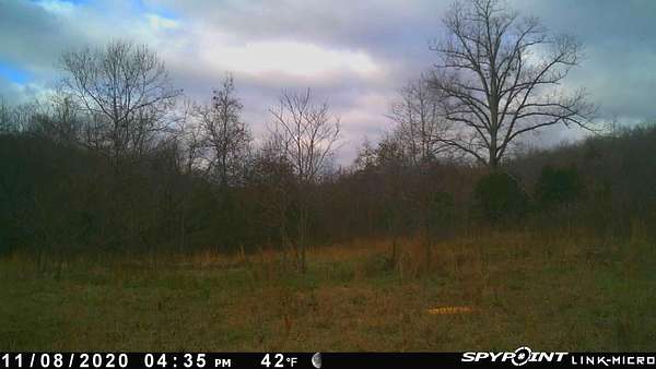 335 Acres of Recreational Land & Farm for Sale in Williford, Arkansas