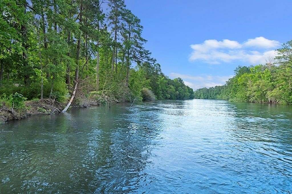 259 Acres of Land for Sale in Jasper, Texas